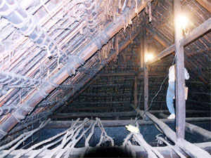 サス構造の小屋組