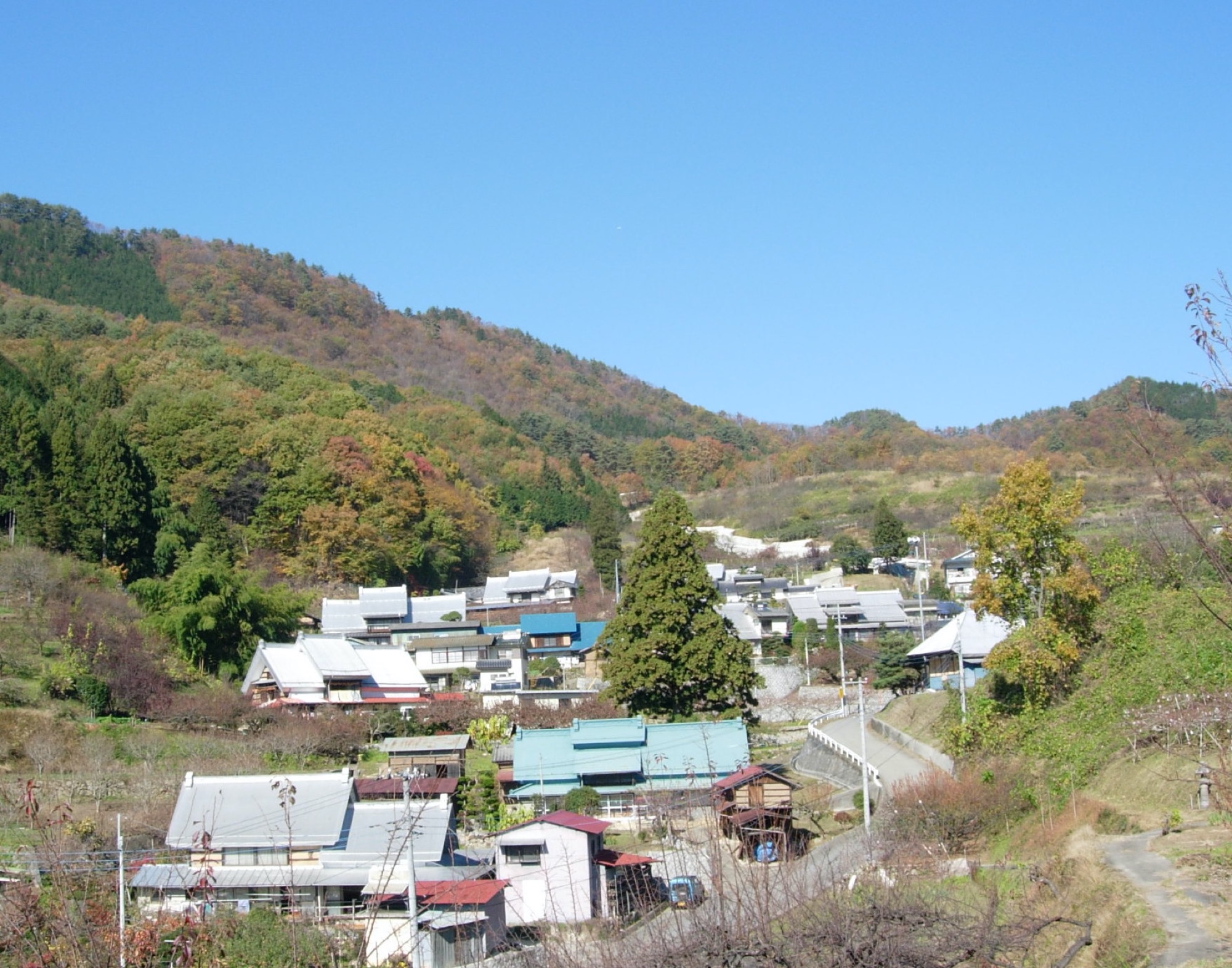上条集落調査