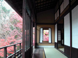 紅葉した庭を2階から見る