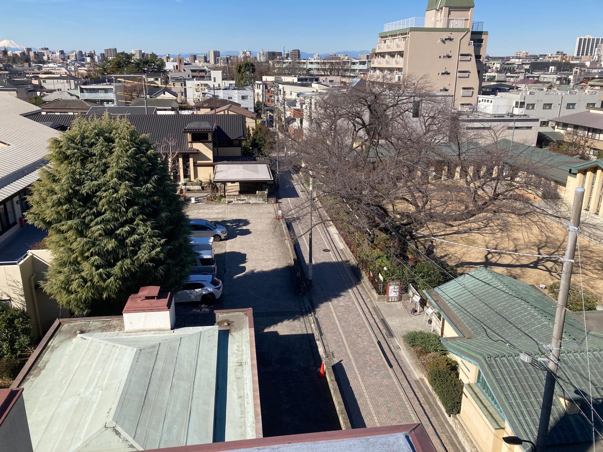 屋上からの眺め　右手が自由学園明日館