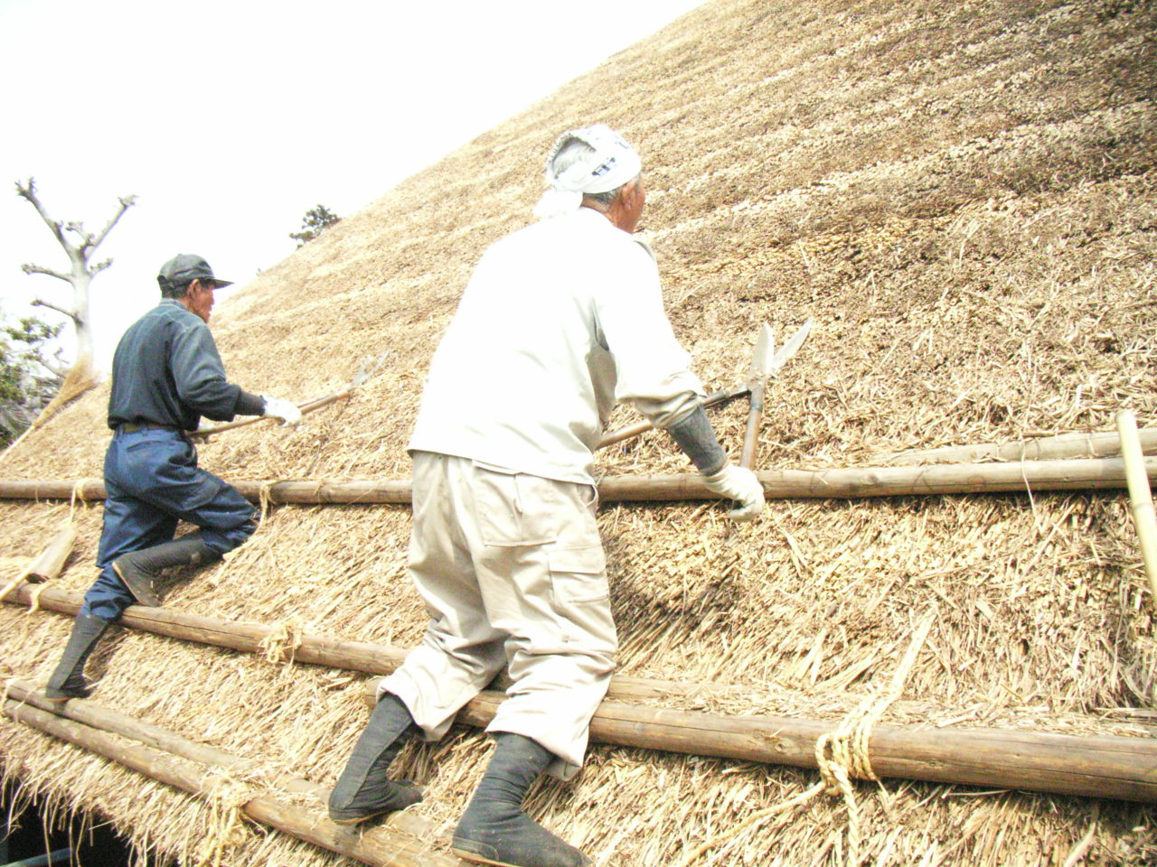 屋根の茅の葺き替え（表層葺替え）